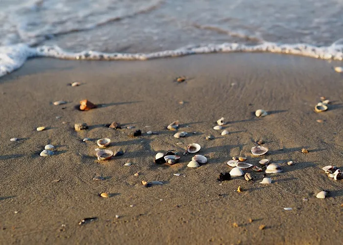 Appartamento Enjoy A Charming Sea View *