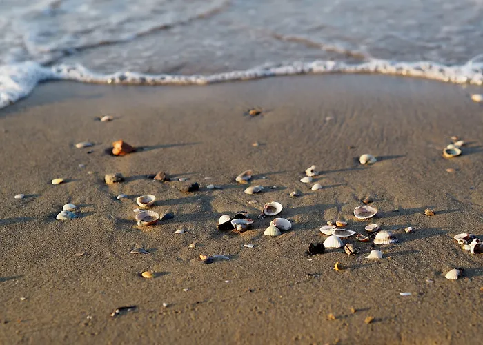 Enjoy A Charming Sea View * Bibione